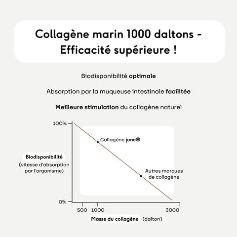 Collagène marin type 1